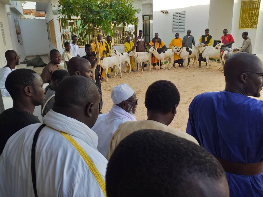 TABASKI- Serigne Moussa Nawel  offre  28 béliers au khalif général des mourides