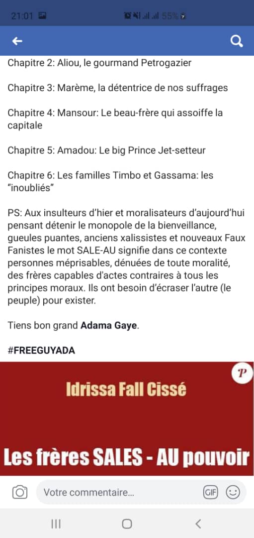 Insultes au Président Macky Sall : Après Adama Gaye, la Sr cueille Idrissa Fall Cissé