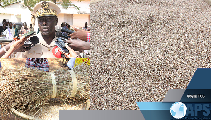 FILIÈRE FONIO : KÉDOUGOU ENREGISTRE UN BOND DE 17% EN 2018 (GOUVERNEUR) FILIÈRE FONIO : KÉDOUGOU ENREGISTRE UN BOND DE 17% EN 2018 (GOUVERNEUR)