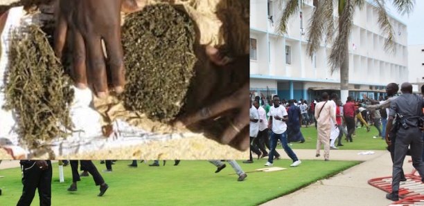UCAD - Comment la sécurité du COUD a pisté et alpagué I. Guèye, le dealer de "YAMBA"