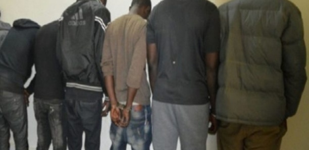 Meurtre de Ndiaya Guèye : Les cinq présumés coupables déférés Meurtre de Ndiaya Guèye : Les cinq présumés coupables déférés