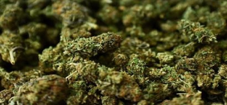 Yeumbeul: Un baron de la drogue saute du 2e étage et se fracture la jambe Yeumbeul: Un baron de la drogue saute du 2e étage et se fracture la jambe