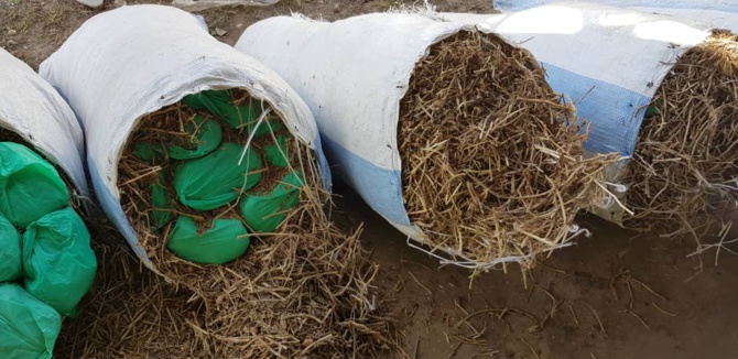 Diourbel: Saisie de 10 kg de chanvre indien à Khelcom