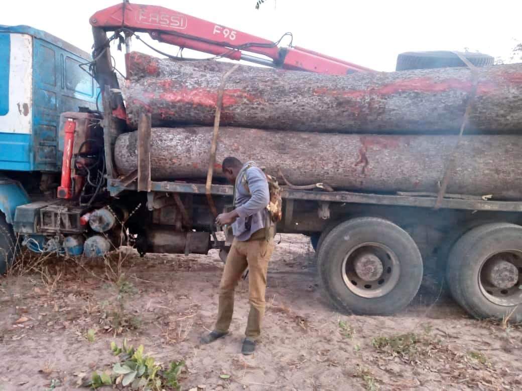 Trafic de bois- Deux camions Gambiens arrêtés