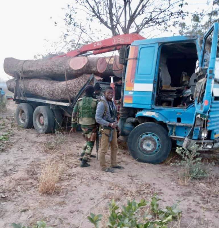 Trafic de bois- Deux camions Gambiens arrêtés