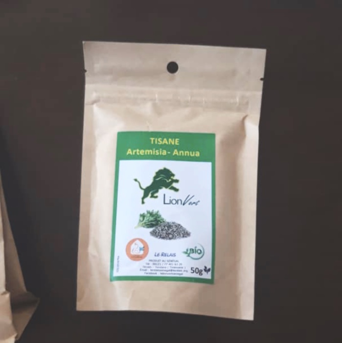 Covid-19 : L’Artémisia, la tisane salvatrice introuvable au Sénégal, les spéculateurs indexés.
