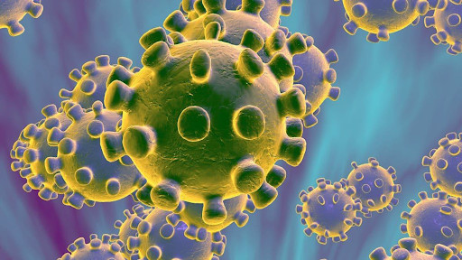 Région de Mbour - Premier cas de coronavirus enregistré à Fissel: Les détails !