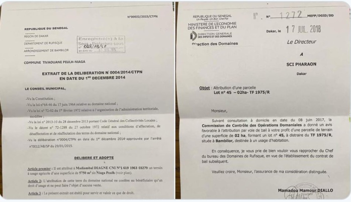 Attribution de deux terrains à « Niaga Peulh » et Bambilor à Madiambal Diagne : les précisions du journaliste
