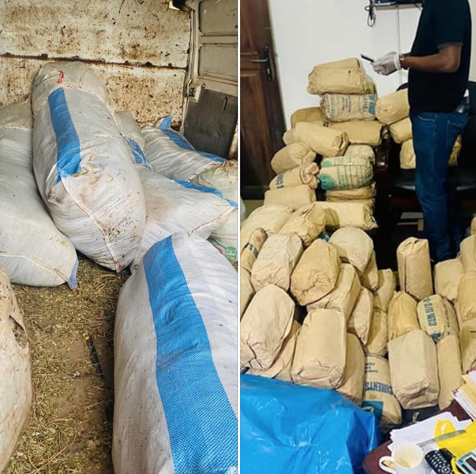 TRAFIC DE CHANVRE: La Douane déniche encore 335 kilos dans un dépôt à Kounoune