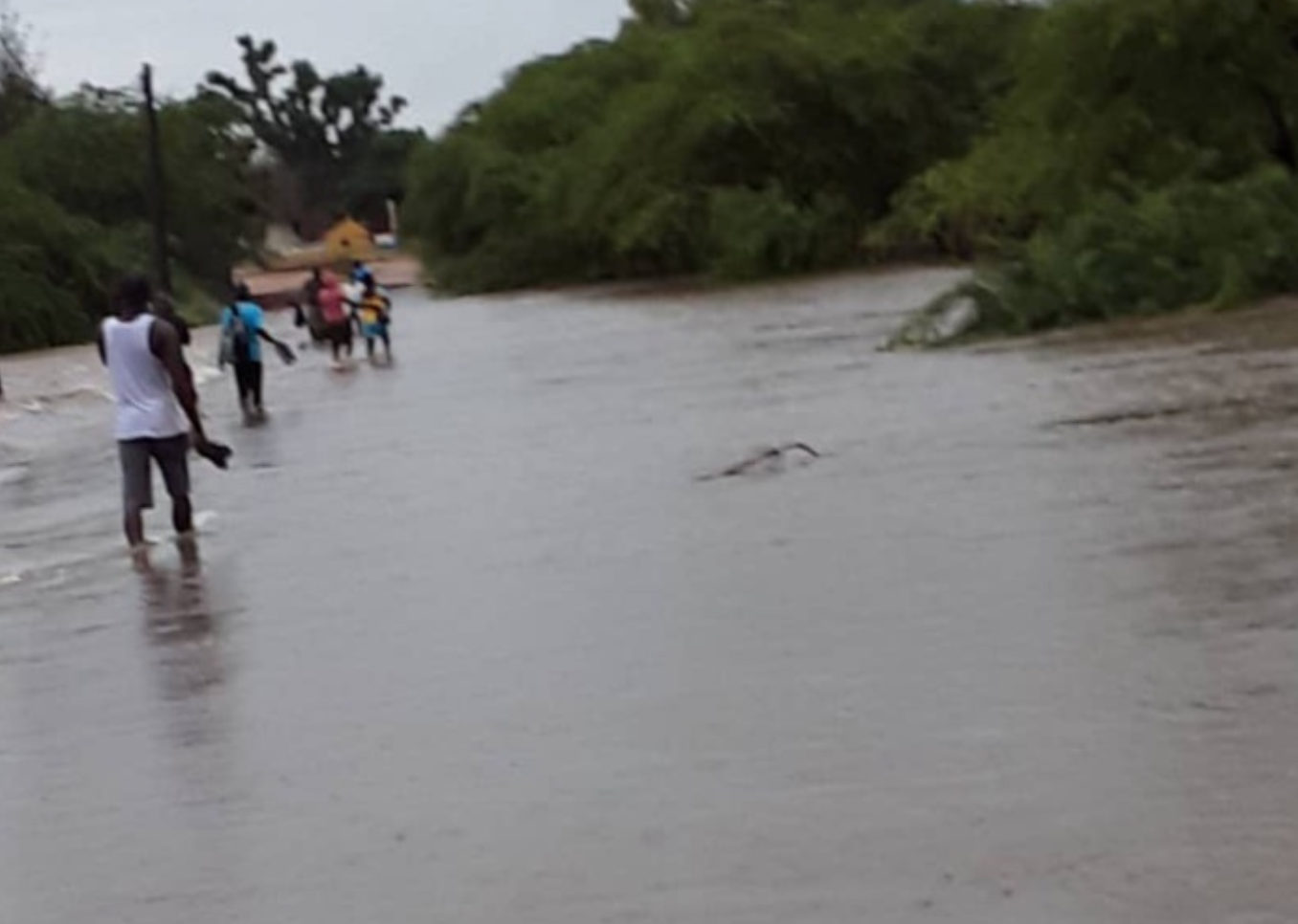 CONTRIBUTION/PERSISTANCE DRAMATIQUE DES INONDATIONS Nous sommes tous coupables !
