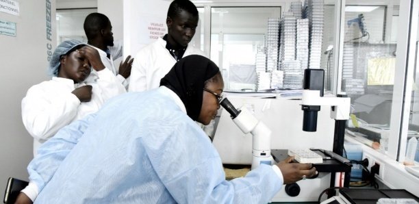 102 PATIENTS GUÉRIS CONTRE 43 NOUVEAUX CAS ET UN DÉCÈS