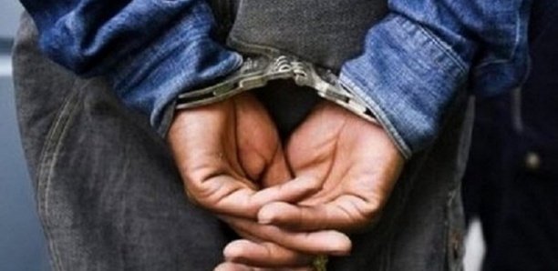 Détention et usage de drogue : Le petit frère du promoteur de lutte Aziz Ndiaye et son ami en prison