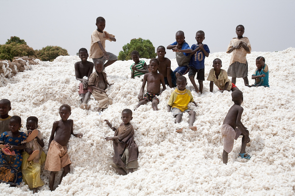 Burkina Faso : 472 000 tonnes de coton récoltés lors de la campagne 2020-21