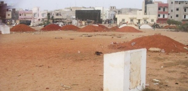 Diourbel / Escroquerie foncière : Un agent immobilier et son complice arrêtés