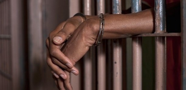 Escroquerie et abus de confiance à Zac Mbao : Le directeur de l’agence immobilière H-Sénégal et son agent commercial arrêtés par la gendarmerie