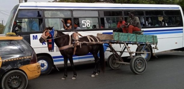 Covid-19 : Quel est l'endroit le plus sûr pour s'asseoir dans un bus, un avion ou un train ?
