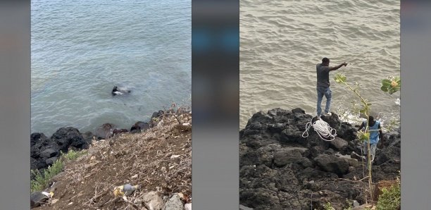 [Photos] Corniche Ouest : Une fille, sans permis, termine sa conduite dans la mer