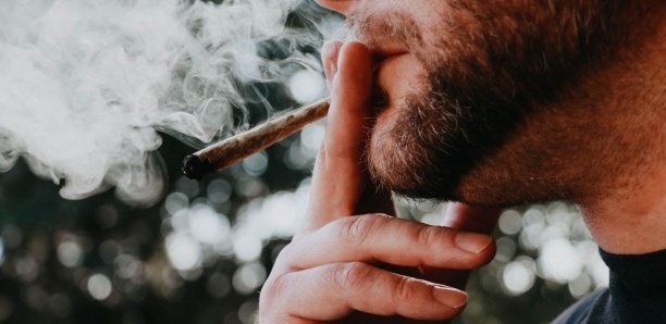 Une épidémie de vomis incontrôlables touche les fumeurs de cannabis aux États-Unis