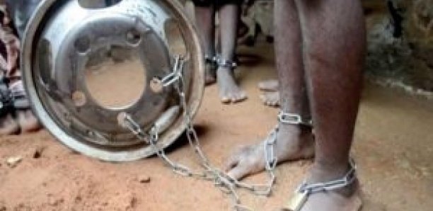 Inédit à Diourbel: Un étudiant de l'Ucad, ligoté puis enchaîné et transformé en talibé dans un daara