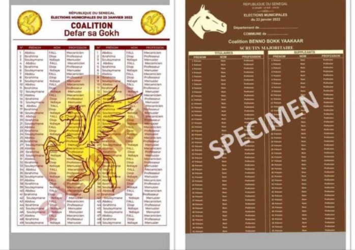 Rejet de la liste de « Défar sa gokh » sur la base de couleurs et de symboles : la CENA fait la leçon aux autorités administratives