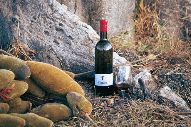 Nouveautés dans le secteur alimentaire : Le Sénégal désormais producteur de vin.