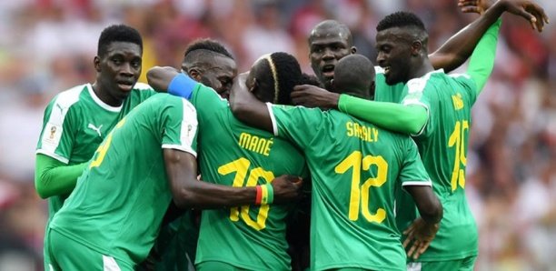 LES LIONS TOUJOURS ROIS D’AFRIQUE