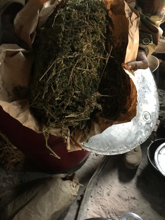 L'Armée frappe encore au coeur la faction Mfdc de Paul Bassène: une hallucinante saisie de Yamba (photos)