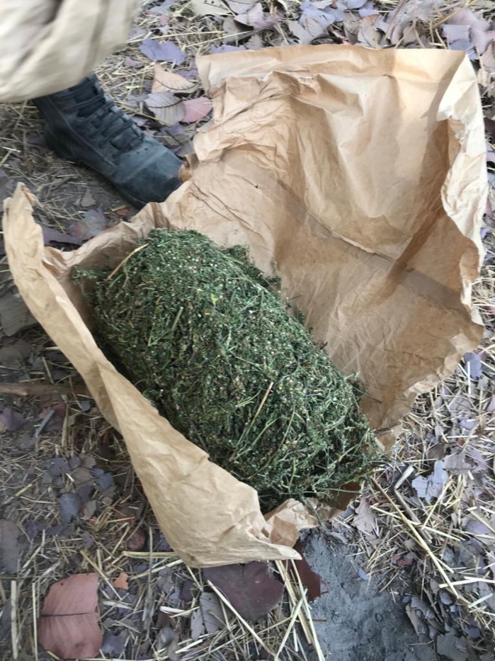L'Armée frappe encore au coeur la faction Mfdc de Paul Bassène: une hallucinante saisie de Yamba (photos)