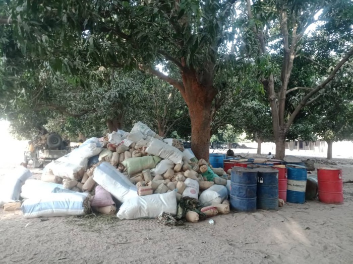 Démantèlement des bases du Mfdc par l’armée : Les images des bases de Niombolong et Médiadia.