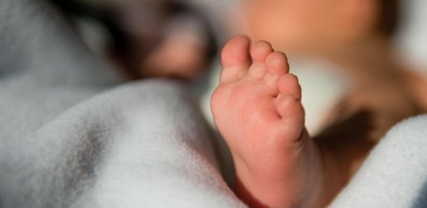 Horreur à Pikine: Un fœtus de 7 mois jeté dans une fosse septique