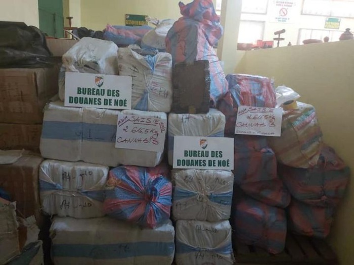 Côte d'Ivoire: saisie de près de trois tonnes de cannabis Côte d'Ivoire: saisie de près de trois tonnes de cannabis