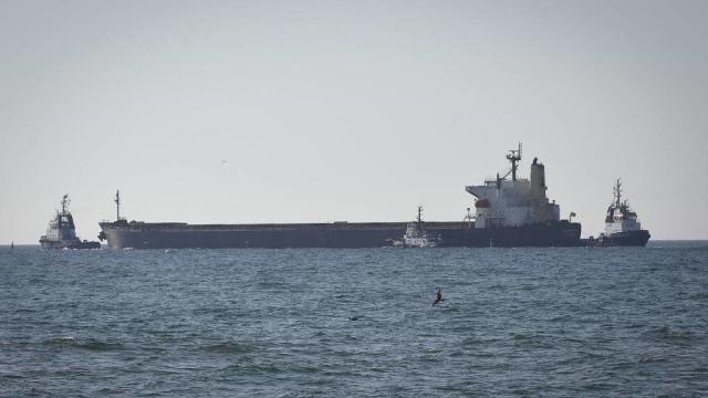 Céréales : 12 navires ont quitté les ports ukrainiens