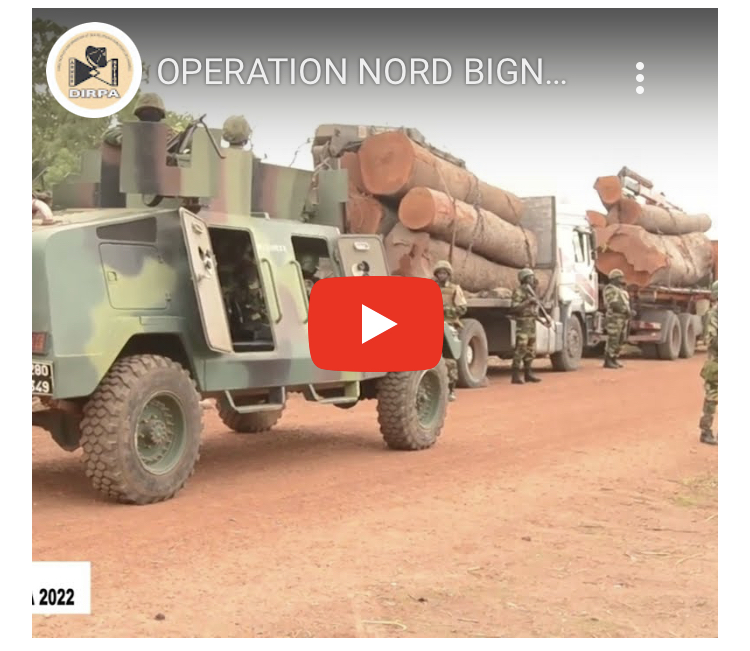 Opération Nord Bignona 2022 : Succès d’une riposte contre le trafic de bois et de chanvre indien en Casamance