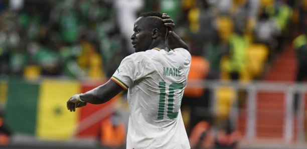 Mondial 2022 : les Lions auront un troisième match amical