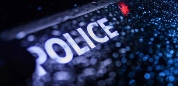 Une femme arrêtée avec des cadavres d'enfants dans des valises