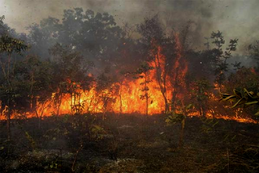 Matam-feux de brousse dans le Ferlo : Les flammes du mal