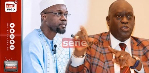 Confrontation Adji Sarr-Sonko : C'est la guerre des mots, entre les avocats des deux partis