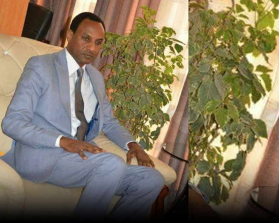 Niger : Ali Mahamane Lamine Zeine nouveau Premier ministre du CNSP