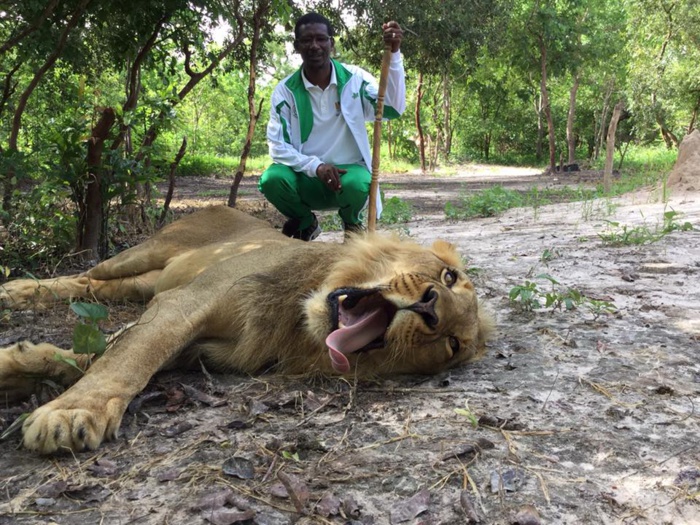 Photos:le ministre  Mary Teuw Niane se promène avec des lions