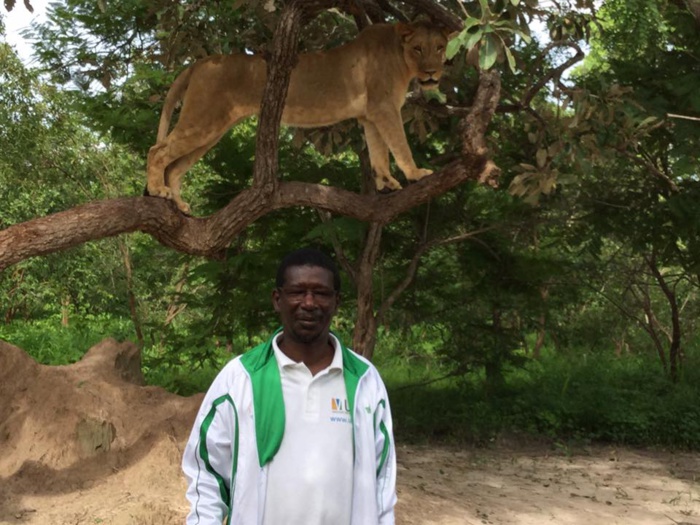 Photos:le ministre  Mary Teuw Niane se promène avec des lions