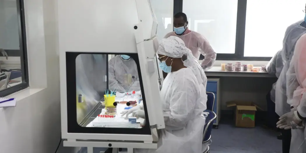 Urgent! Santé: Le ministère de la Santé annonce un cas humain de fièvre du Nil occidental