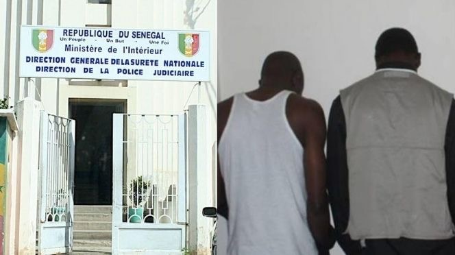 Suite et pas fin "Scandale de chèques du Trésor falsifiés et des importations sans déclaration"- Mallé, Mansour et Rama finalement déférés au Pool Judiciaire Financier Suite et pas fin "Scandale de chèques du Trésor falsifiés et des importations sans déclaration"- Mallé, Mansour et Rama finalement déférés au Pool Judiciaire Financier