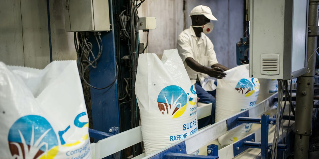 RUMEURS SUR UNE PÉNURIE DU SUCRE | LA COMPAGNIE SUCRIÈRE SÉNÉGALAISE RASSURE SUR LA DISPONIBILITÉ DU PRODUIT AVEC PLUS DE 60 000 TONNES EN STOCK