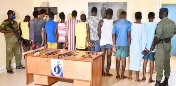 Démantèlement d'un gang à Kaffrine : 11 voleurs de bétail arrêtés par la gendarmerie
