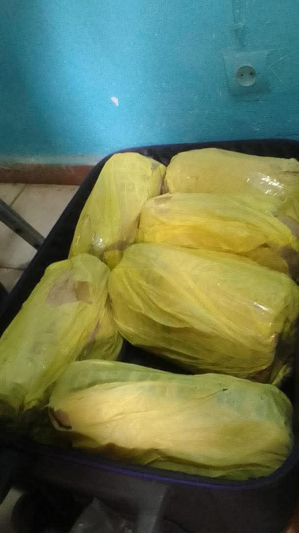 Un individu interpellé avec 6 kg de chanvre indien à Khaïra par les éléments du commissariat spécial de Touba.
