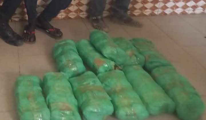 Saisie de drogue à Touba : Un individu interpellé avec 12 kg de chanvre indien.