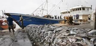 Secteur de la pêche : Le Sénégal pose ses conditions à l’UE
