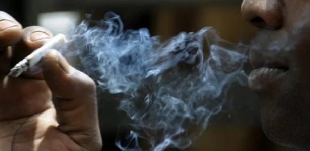 Thiès : deux anciens militaires de 70 et 68 ans fumeurs de yamba, l’un s’en sert pour dormir et l’autre pour avoir l’appétit
