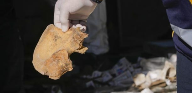 Découverte d’ossements à Rufisque : des restes humains confirmés, l’IFAN sollicité