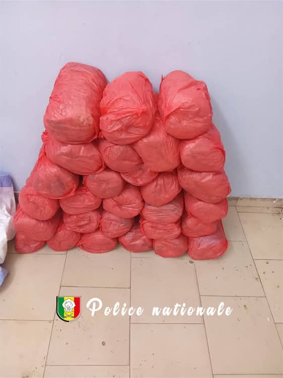 Trafic international de drogue, offre et cession de drogue à Guinaw Rails-  Un individu tombe dans les filets de la police avec 28 kgs de chanvre indien